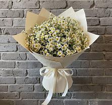 Букет цветов из:  Ромашки в Билибино