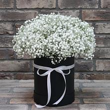 Цветочная композиция из Гипсофила в шляпной коробке #REPLACE_PRED# Билибино